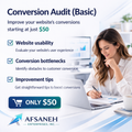 Conversion Audit (Basic)